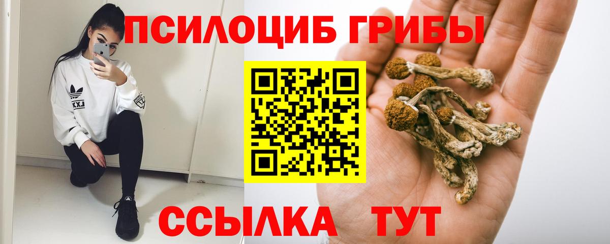Каменск-Уральский  Псилоцибиновые грибы Cubensis  где можно купить наркотик  Вход с VPN  Галлюциногенные грибы мицелий 